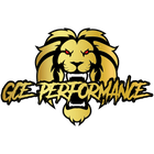 GCE Performance