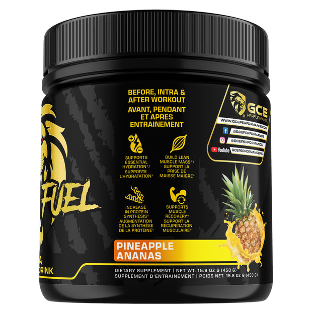 Hydrafuel Ananas - 45 portions